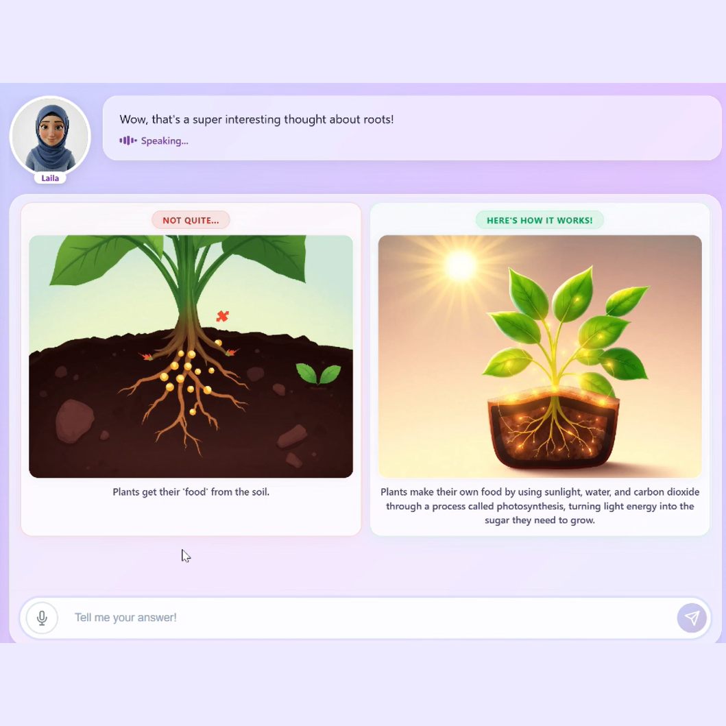 Fareed correcting misconceptions in real time